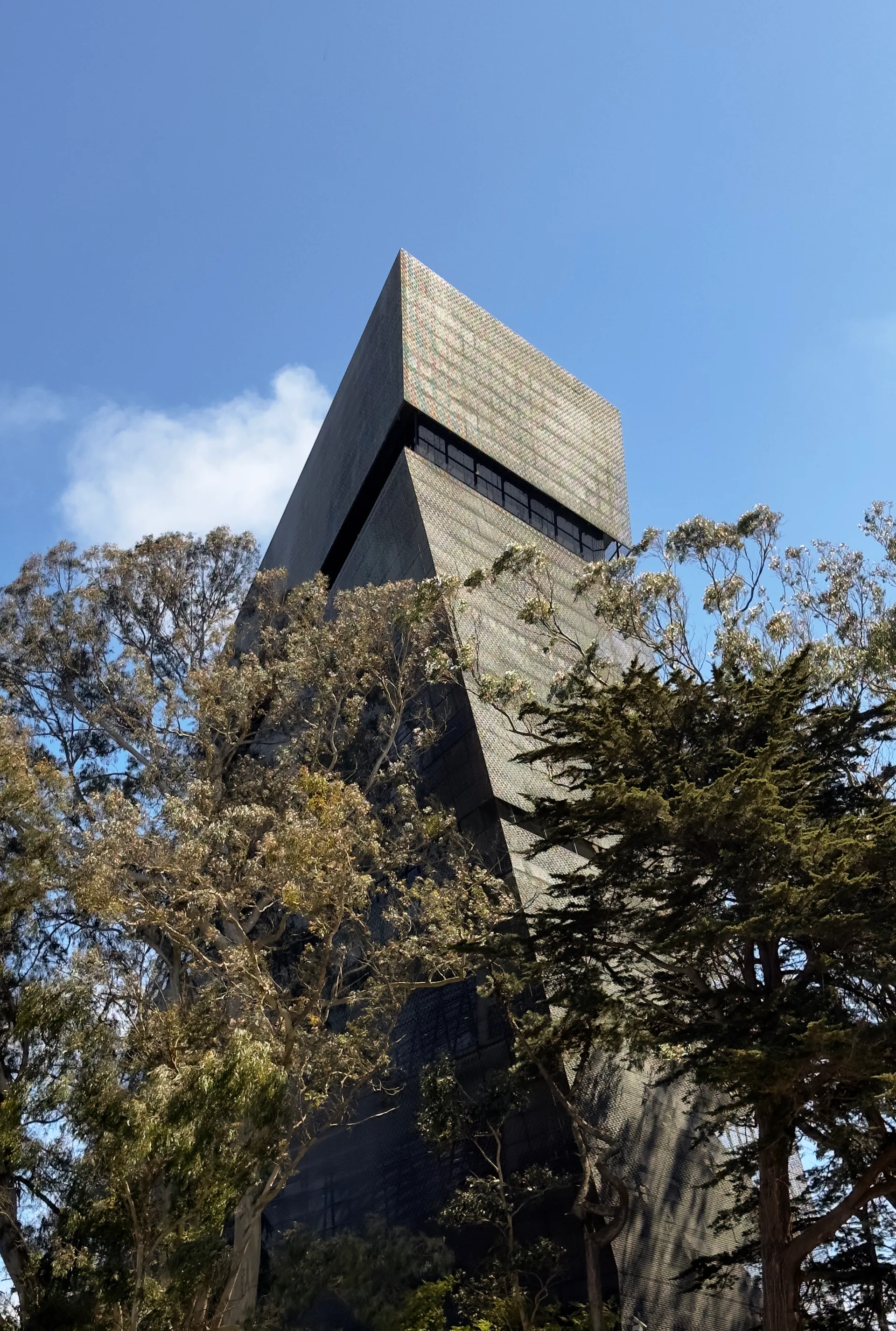 de Young Museum looming over the trees