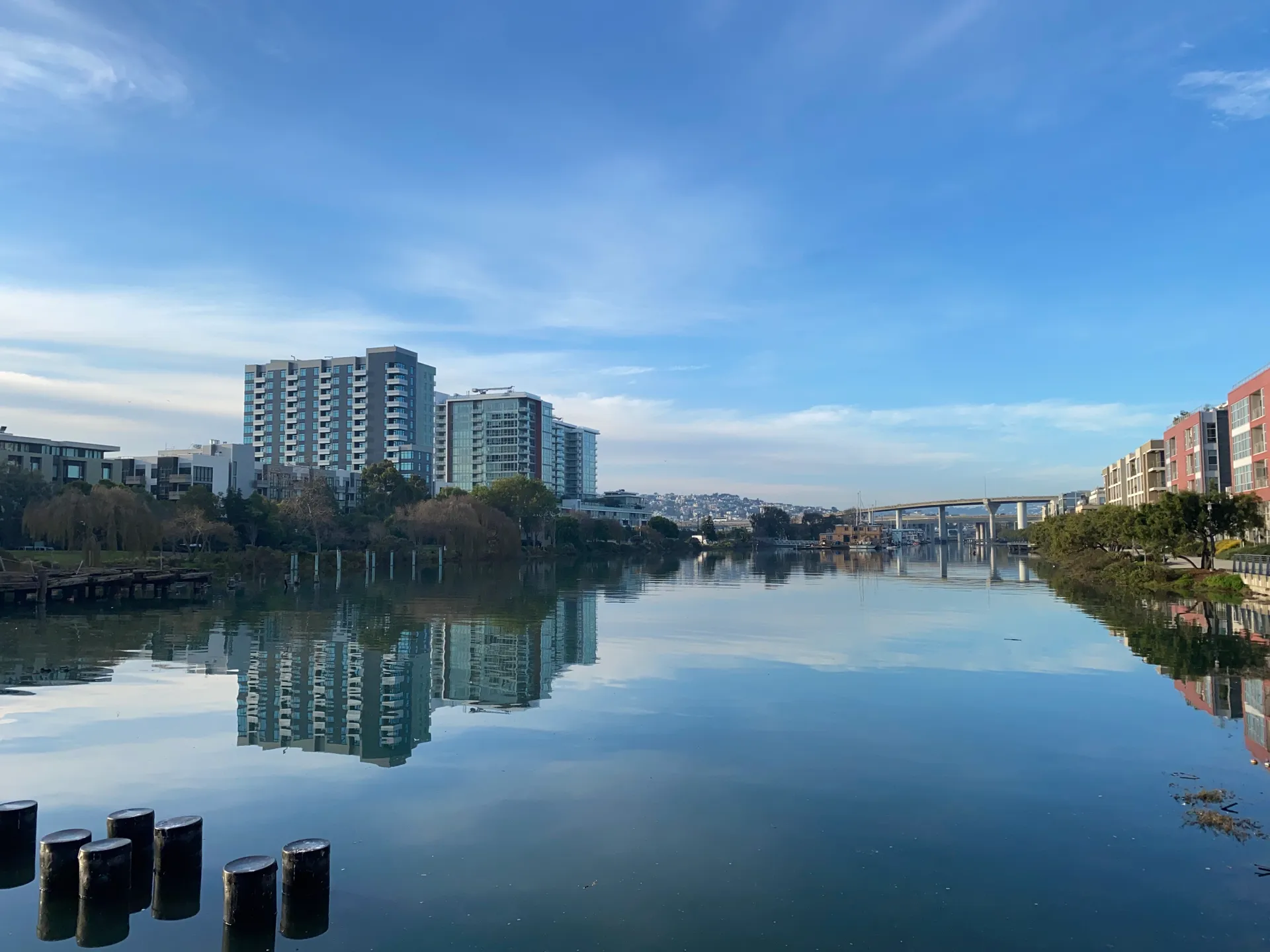 A view of Mission Bay during day