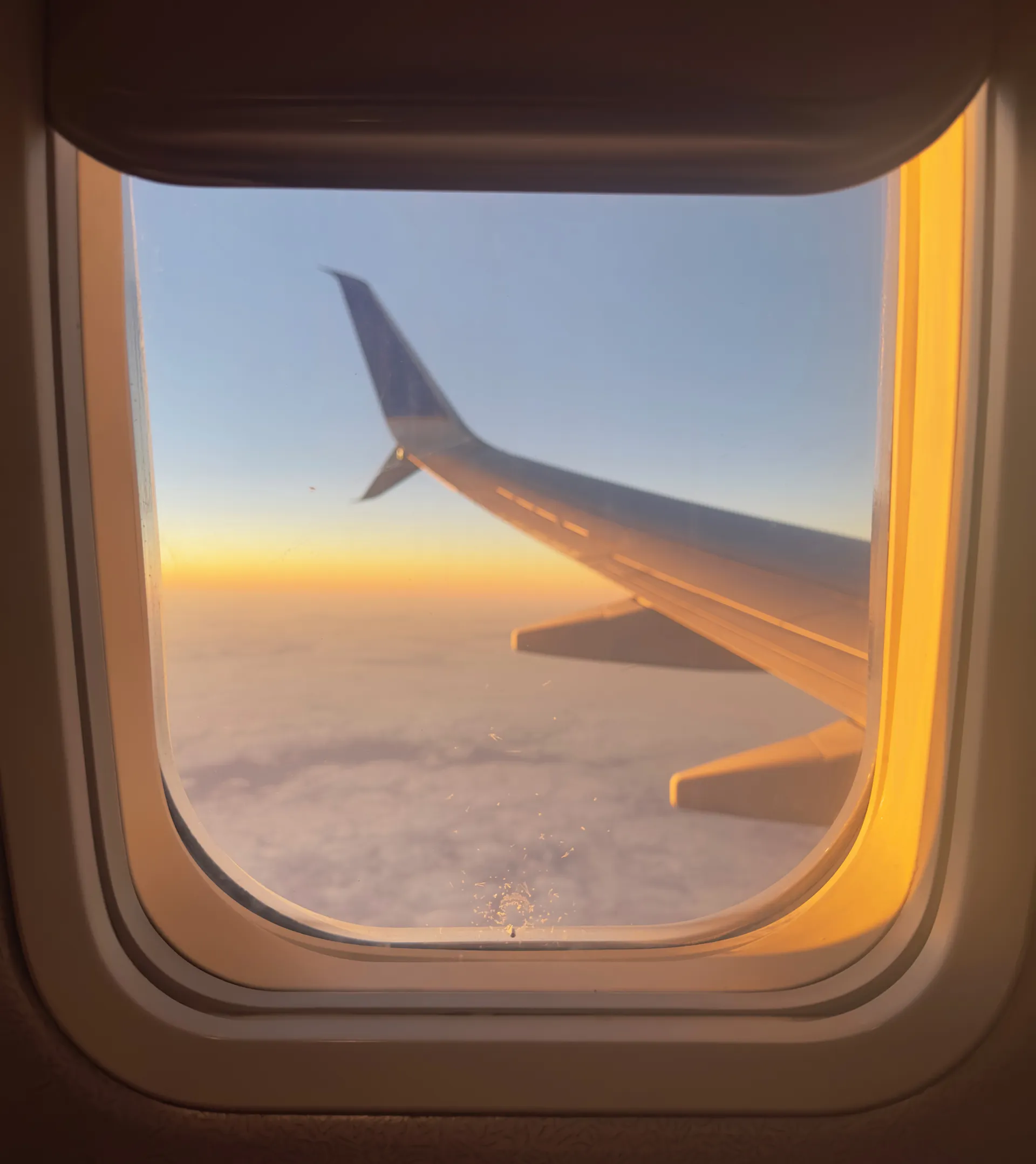A view out an airplane window at dusk