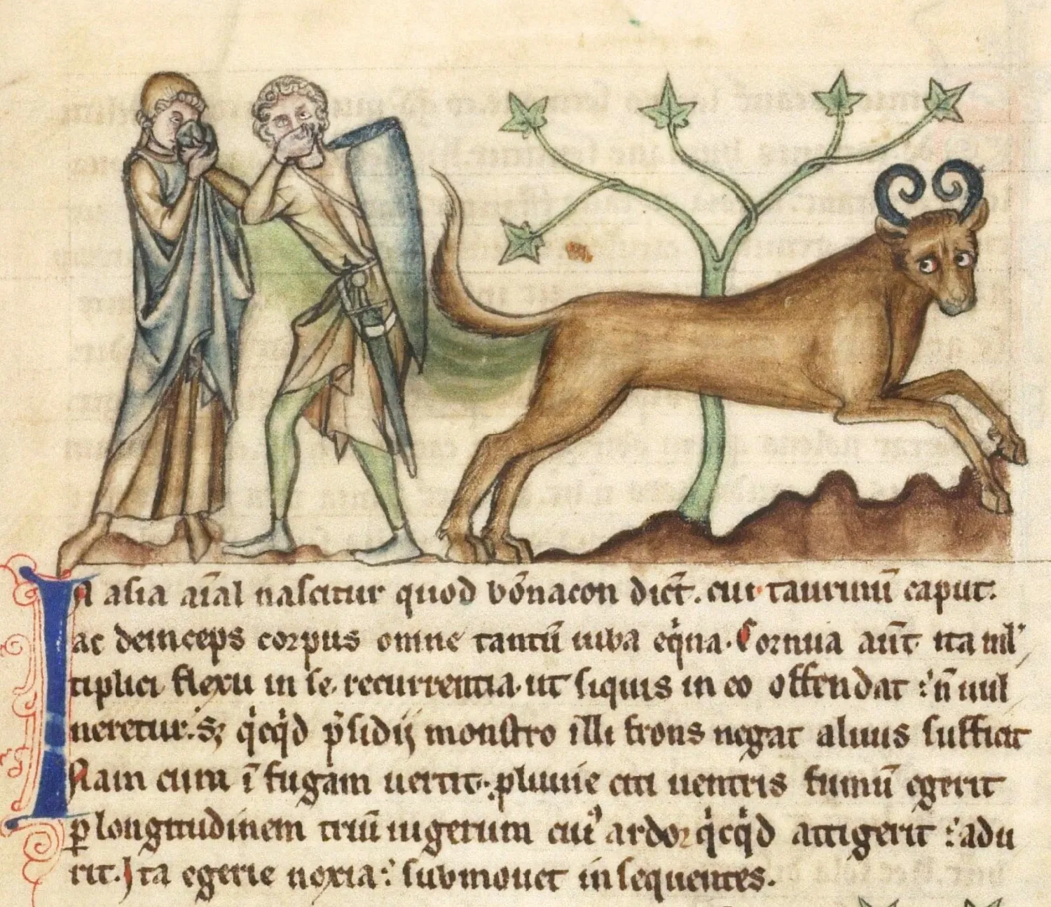 Collected in “Medieval Illustrations of Bonnacons”, Public Domain Review