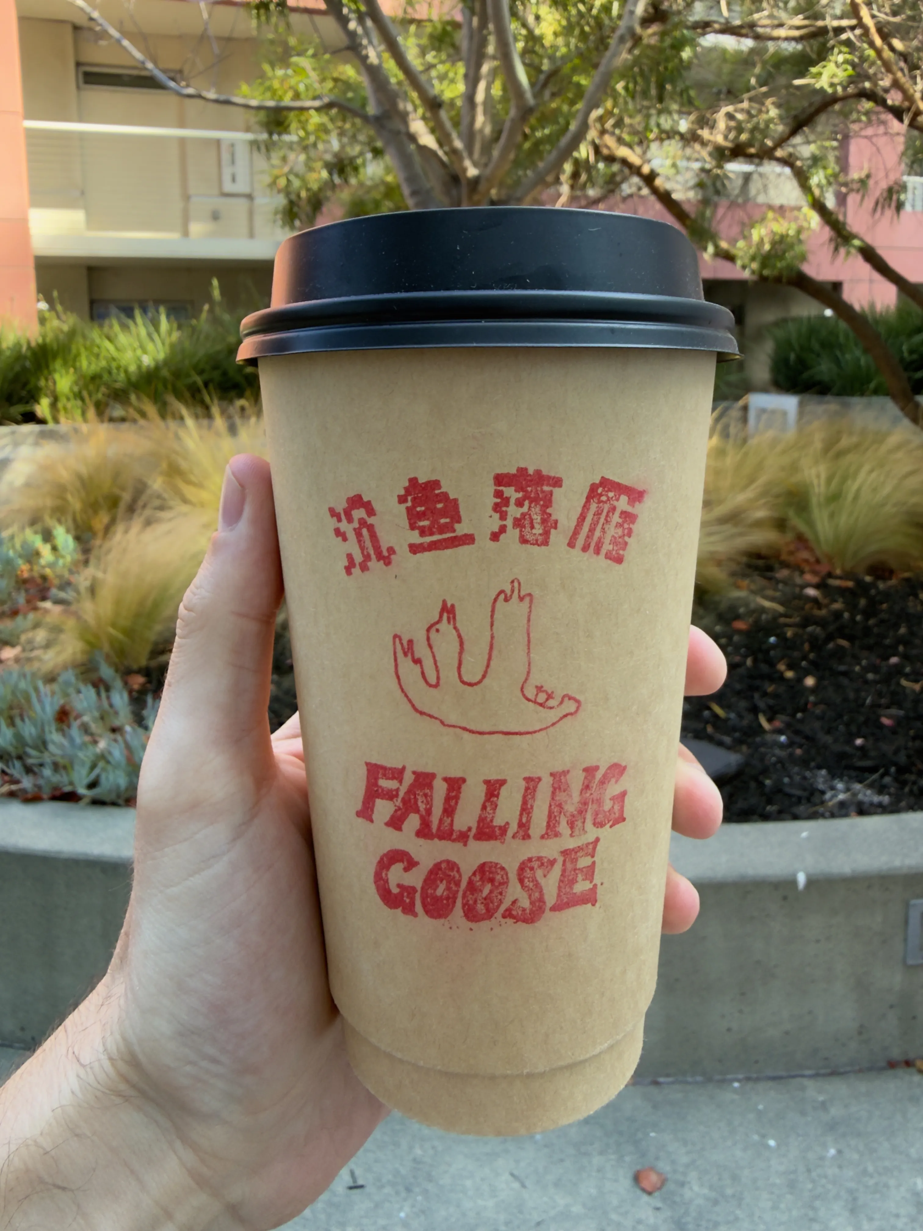 Front side of a coffee cup from Falling Goose, showing their label and falling goose icon Front side of a coffee cup from Falling Goose, showing their label and falling goose icon