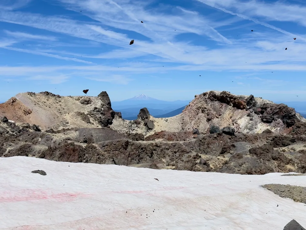 The view from Lassen Peak, including Mount Shasta in the background and butterflies in the foreground