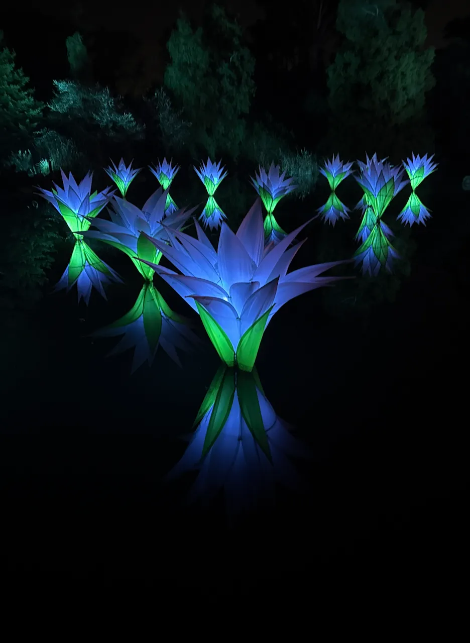 An art work at San Francisco Conservatory of Flowers Lightscape