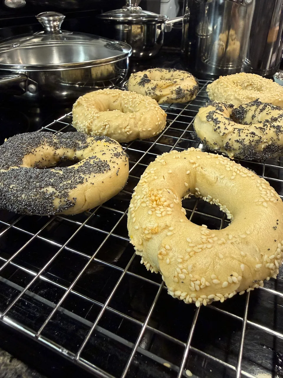 Montreal-style bagels