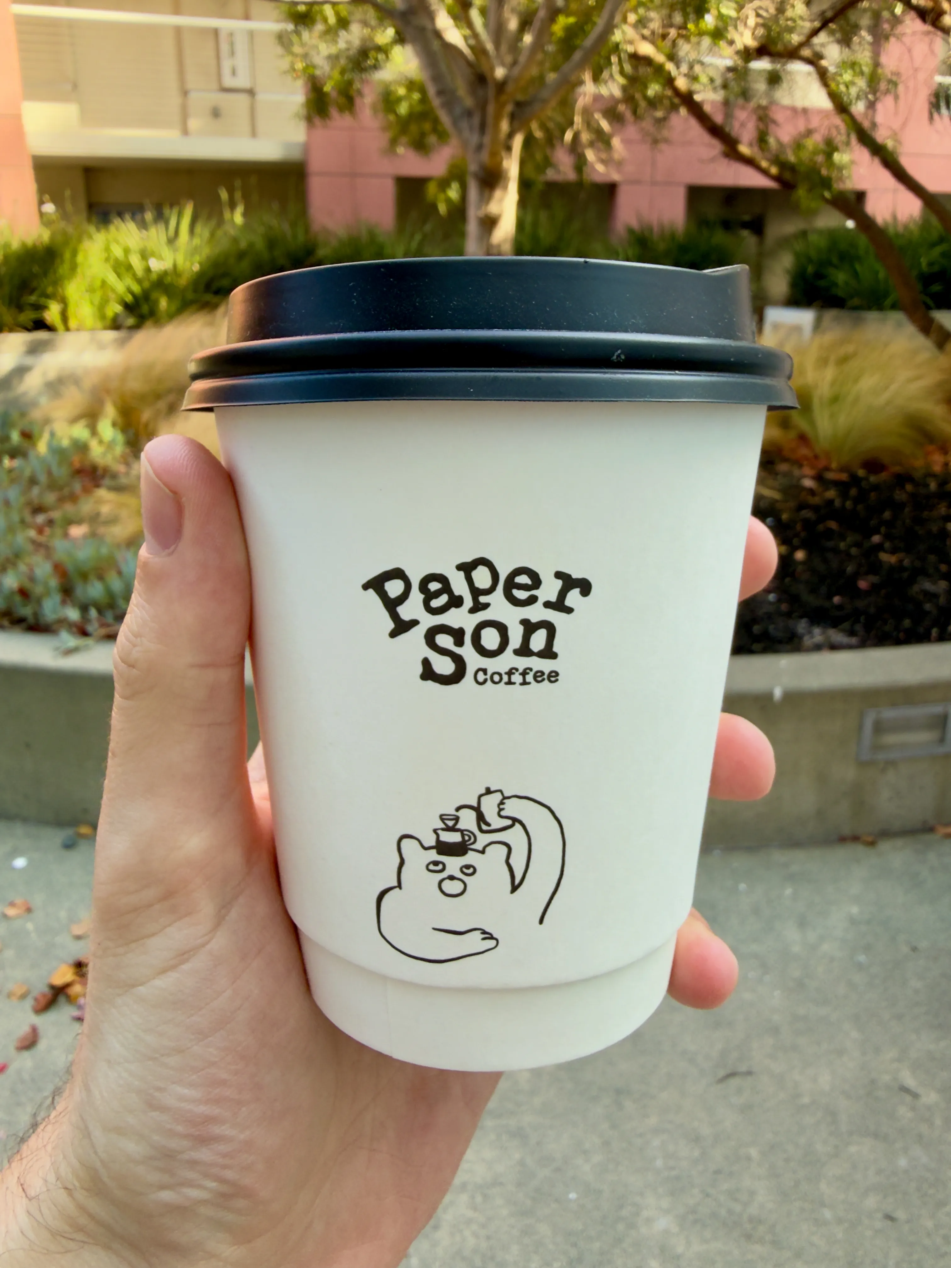 Front side of a coffee cup from Paper Son, showing their label and their stylized bear character Front side of a coffee cup from Paper Son, showing their label and their stylized bear character
