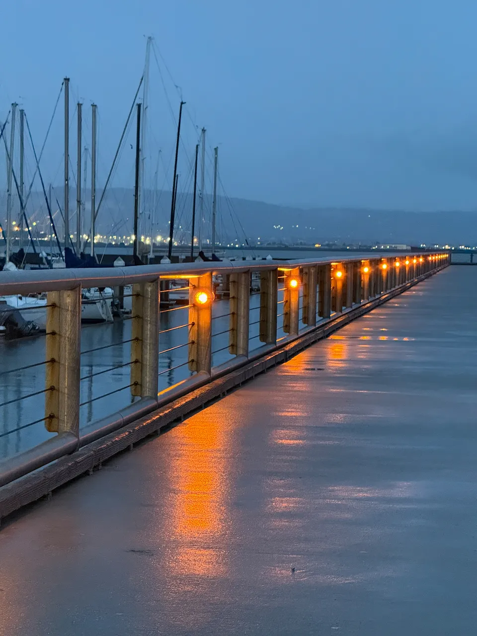 In A Decade We’ll All Be Using “Mog” As A Verb Without Thinking Twice