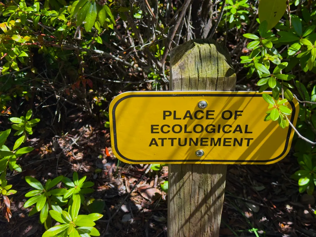 A sign reading ‘Place of Ecological Attunment’ taken new Fort Bragg, CA