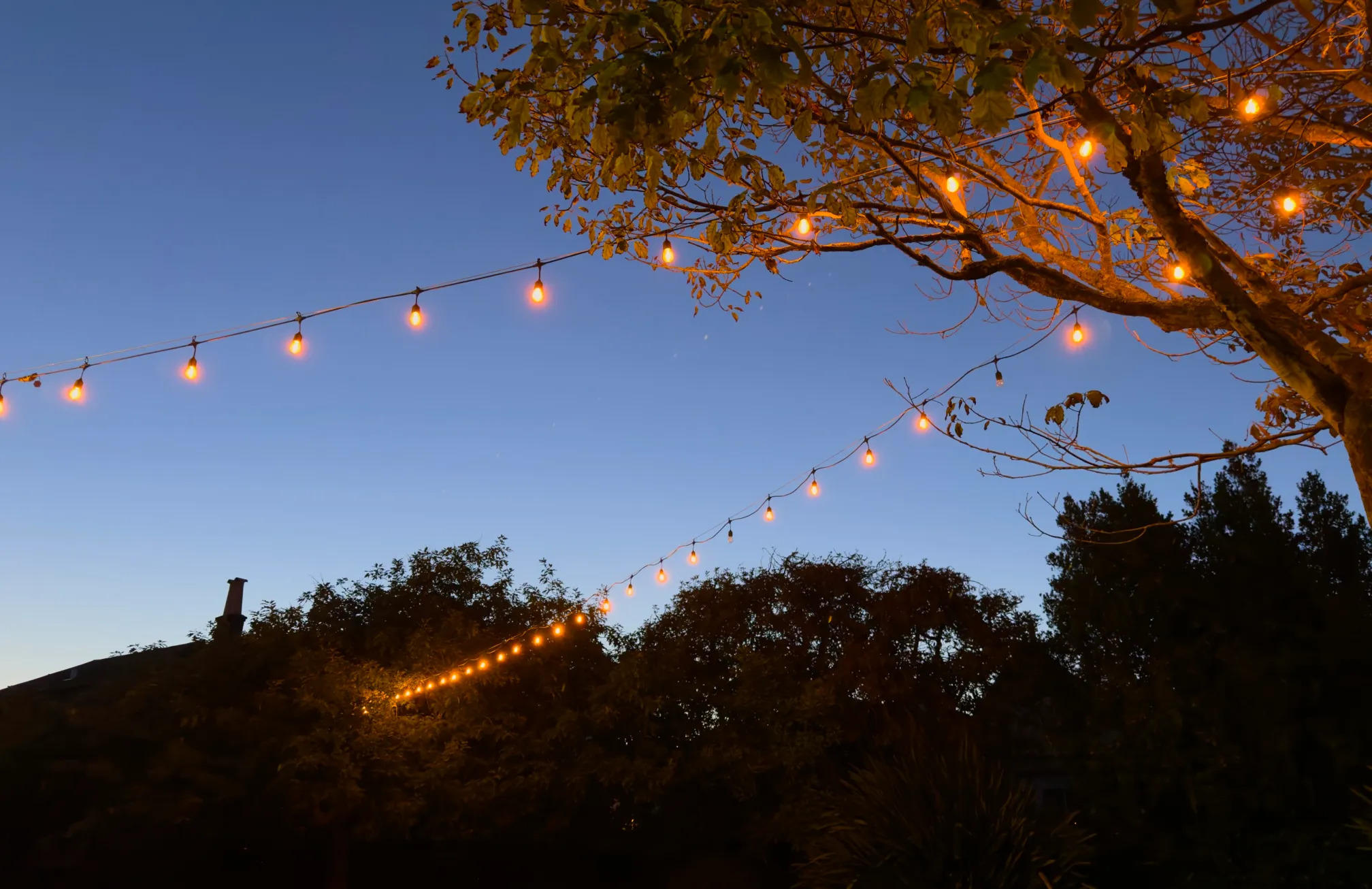 String lights hanging over Richard Gamble Park