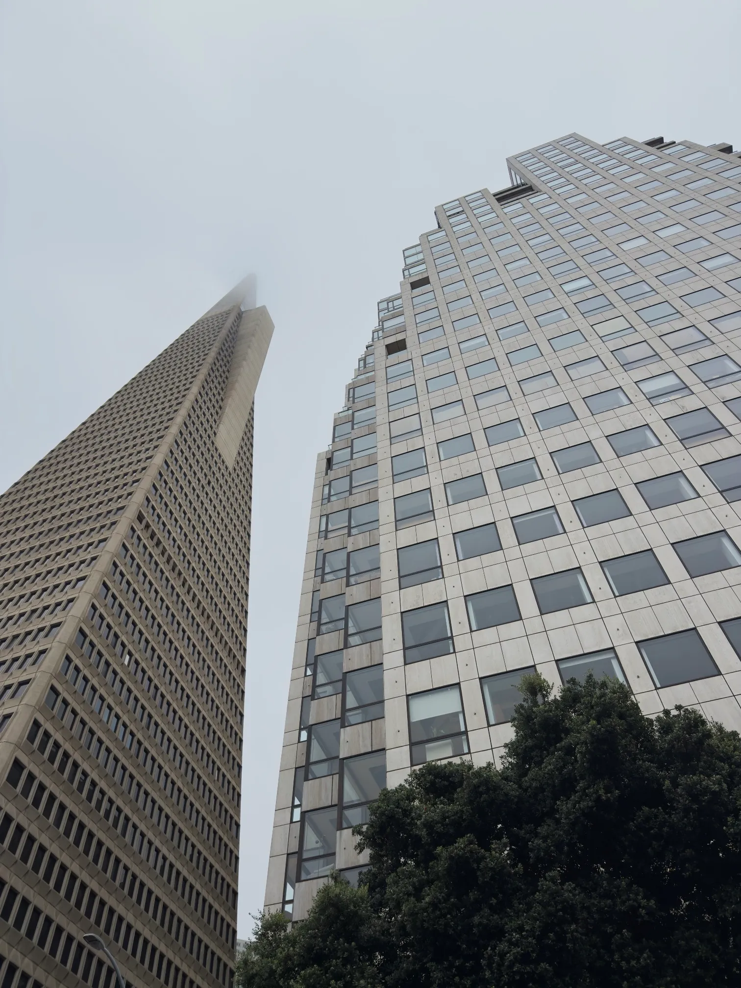 A very of Transamerica and the office building across from it in the fog