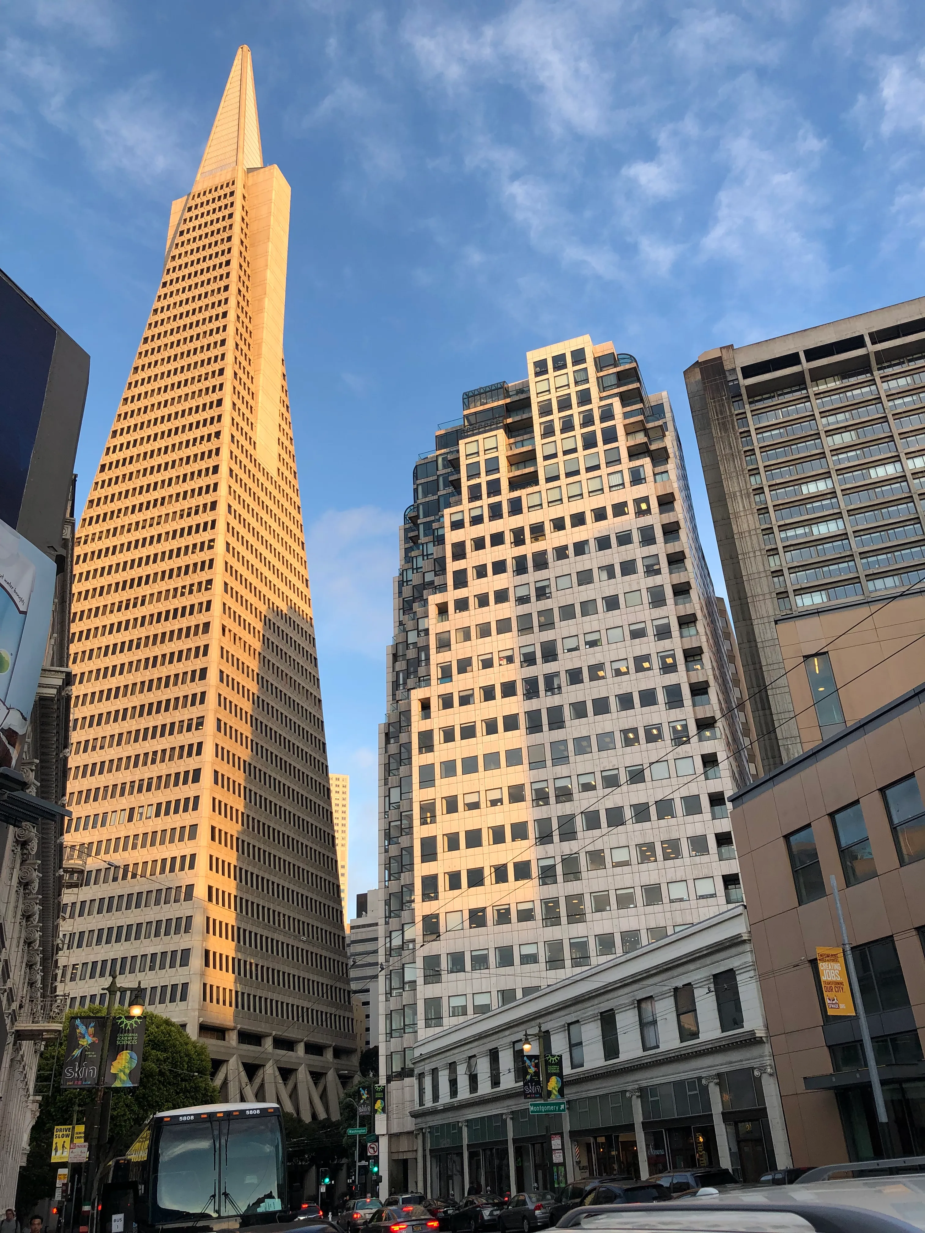 Transamerica Pyramid and surrounding buildings