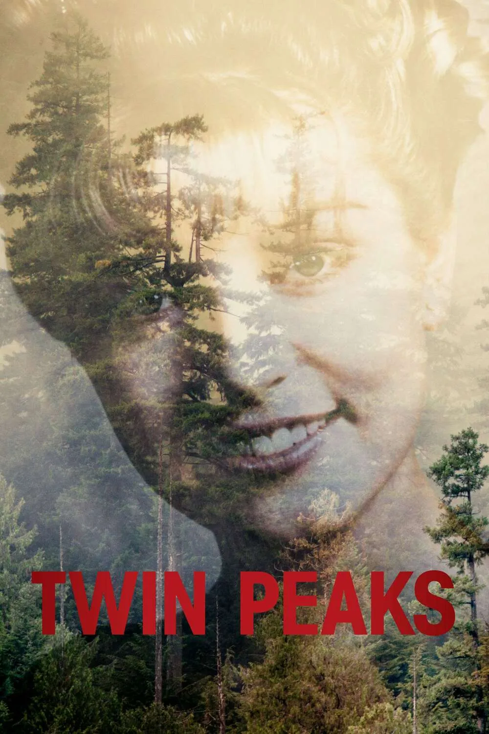 Twin Peaks: The Return poster