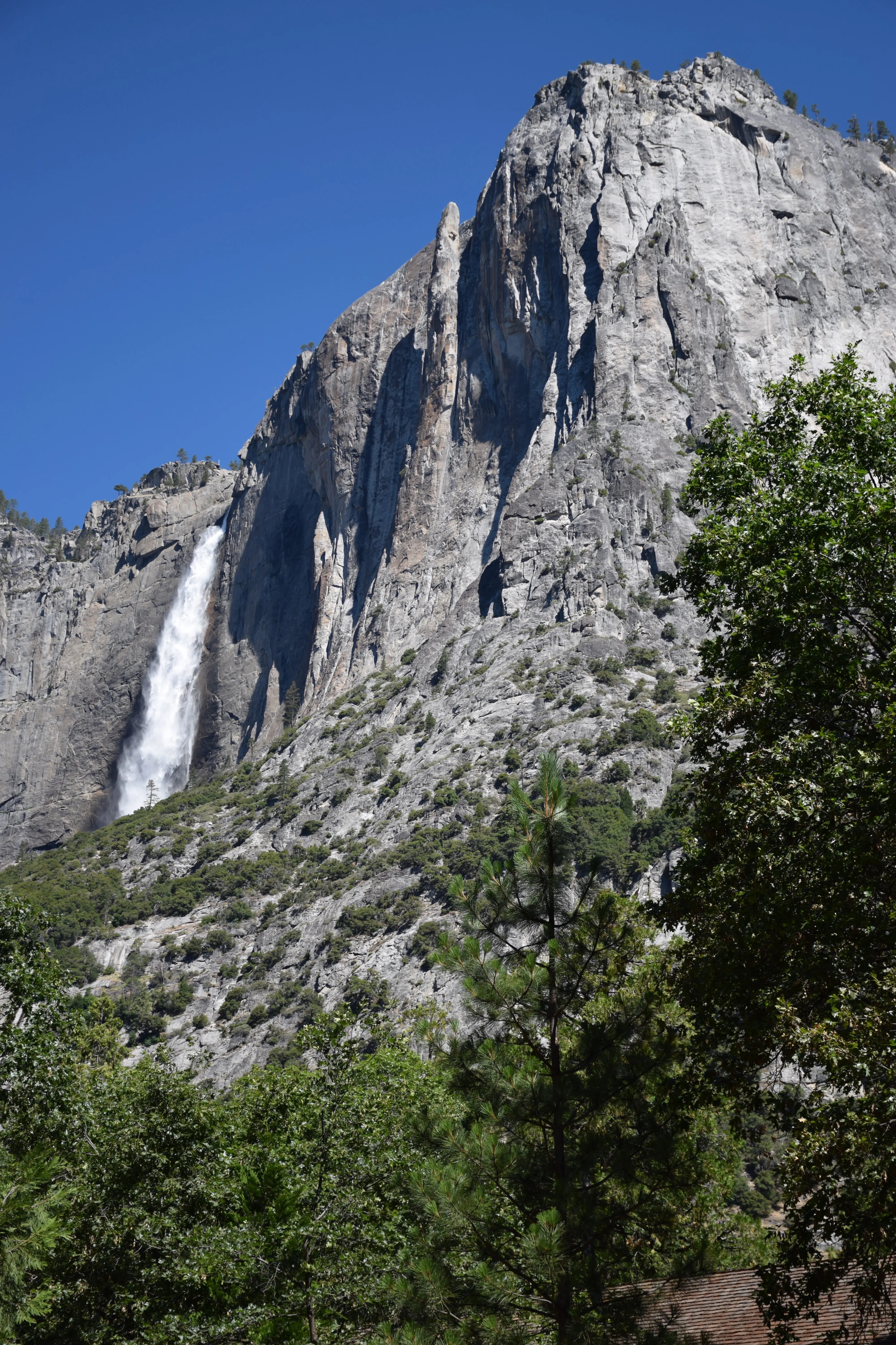 A waterfall in Yosemite